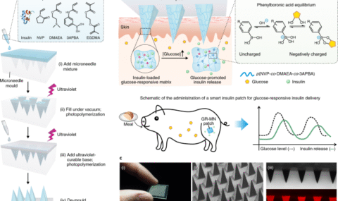41551_2019_508_Fig1_HTML
